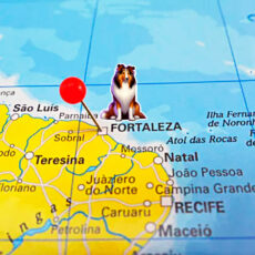 KCEC – Copa Roberto Bezerra