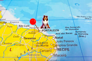 KCEC – Copa Roberto Bezerra