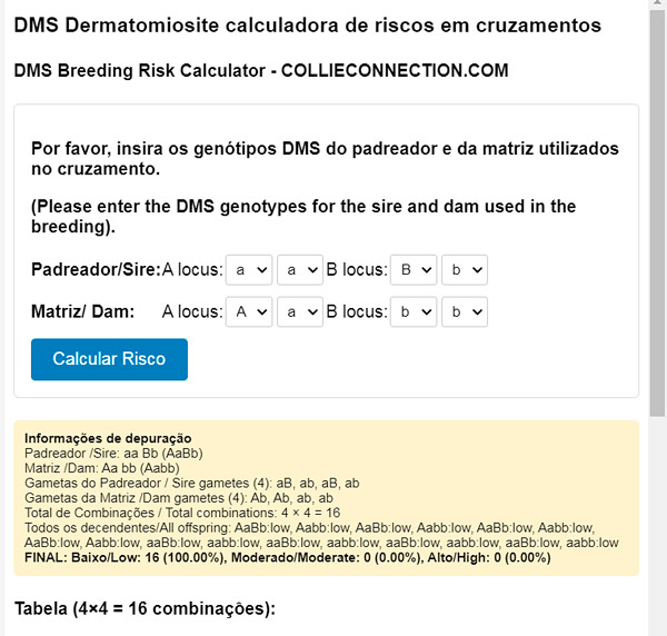 Calculadora DMS