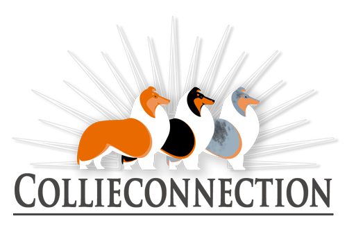 Logo Oficial Collieconnection