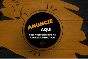 Collieconnection_CC_AnuncieAQUI3