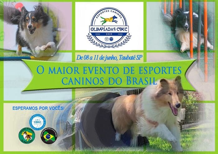 Olimpíadas CBKC, Esportes caninos e Collie agility