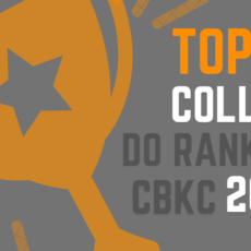TOP 10 Collies do Ranking CBKC 2006