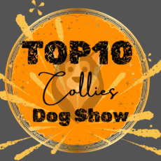 Ranking DogShow – TOP10 Collies 2009