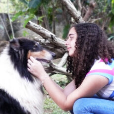 As peculiaridades da linguagem corporal dos Collies