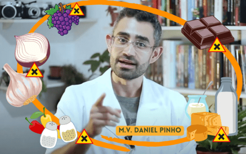 5 Alimentos PROIBIDOS: M.V.Daniel Pinho. 5 Alimentos PROIBIDOS para seus Collies