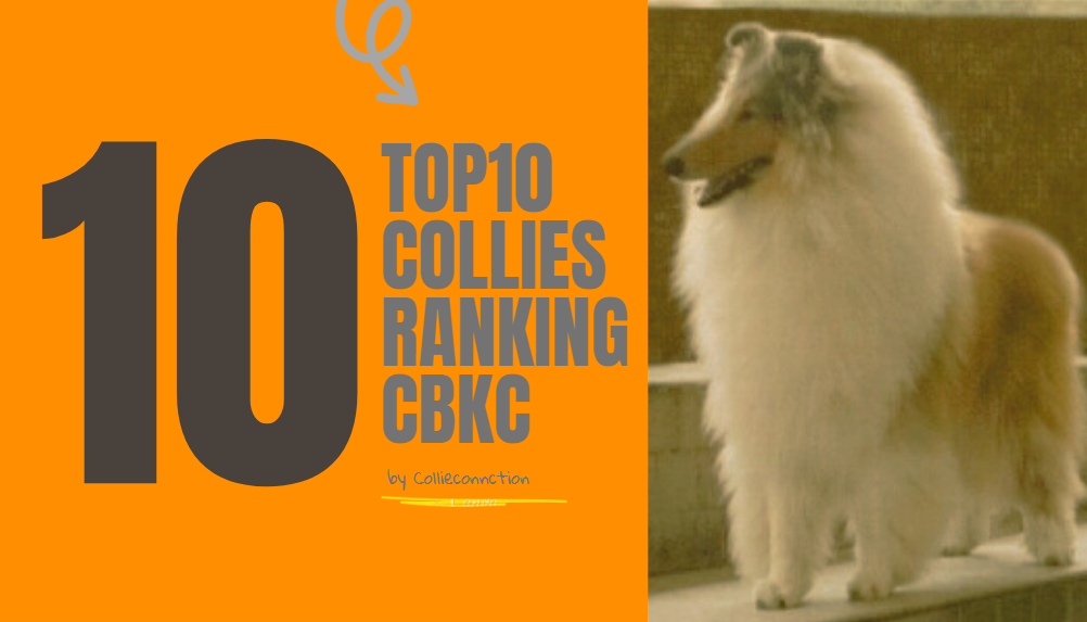 2007 -TOP 10 CBKC – Raça Collie Pelo Longo