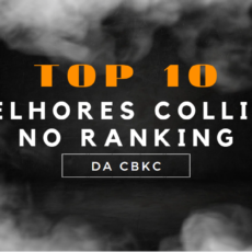 TOP 10 Collies do Ranking CBKC 2008