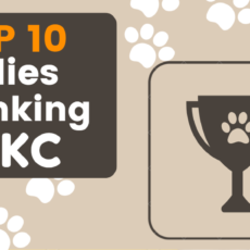 TOP 10 Collies do Ranking CBKC 2012