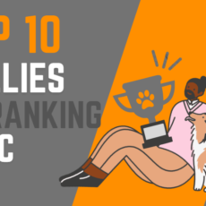 TOP 10 Collies do Ranking CBKC 2013