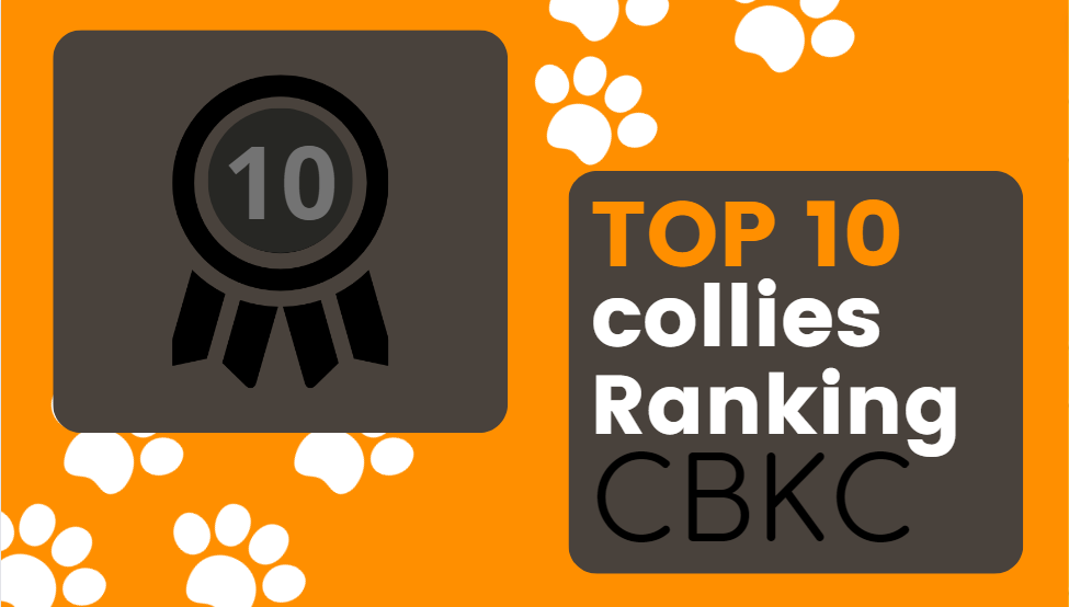 2014 -TOP 10 CBKC – Raça Collie Pelo Longo