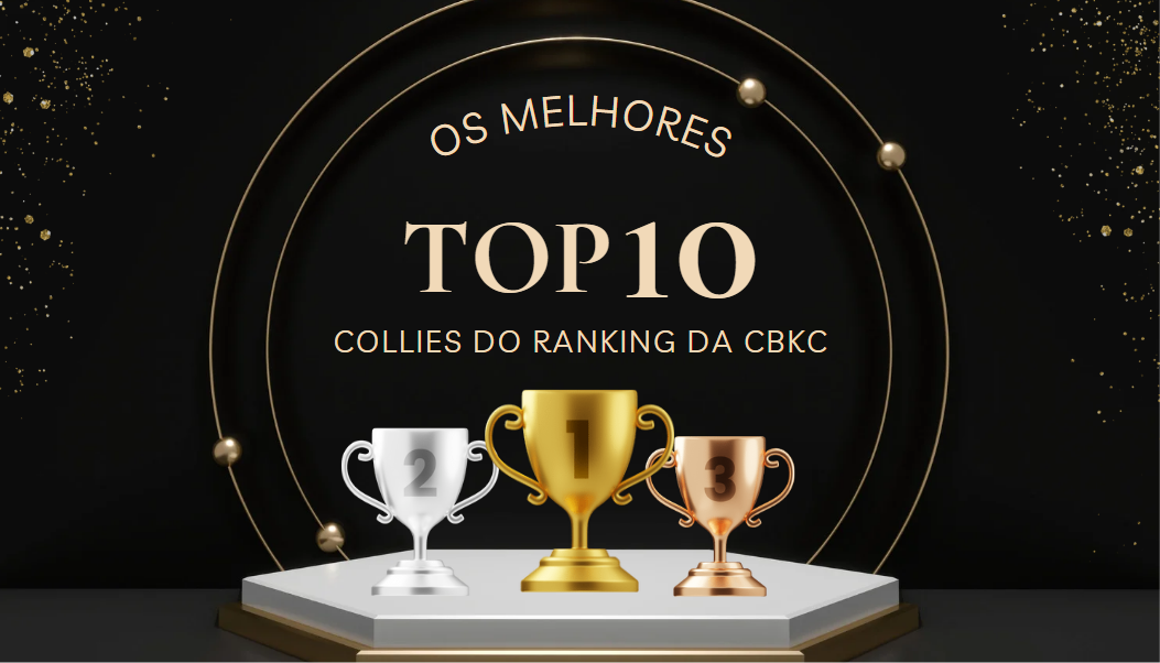 2015 -TOP 10 CBKC – Raça Collie Pelo Longo