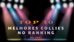 2022 -TOP 10 CBKC – Raça Collie Pelo Longo