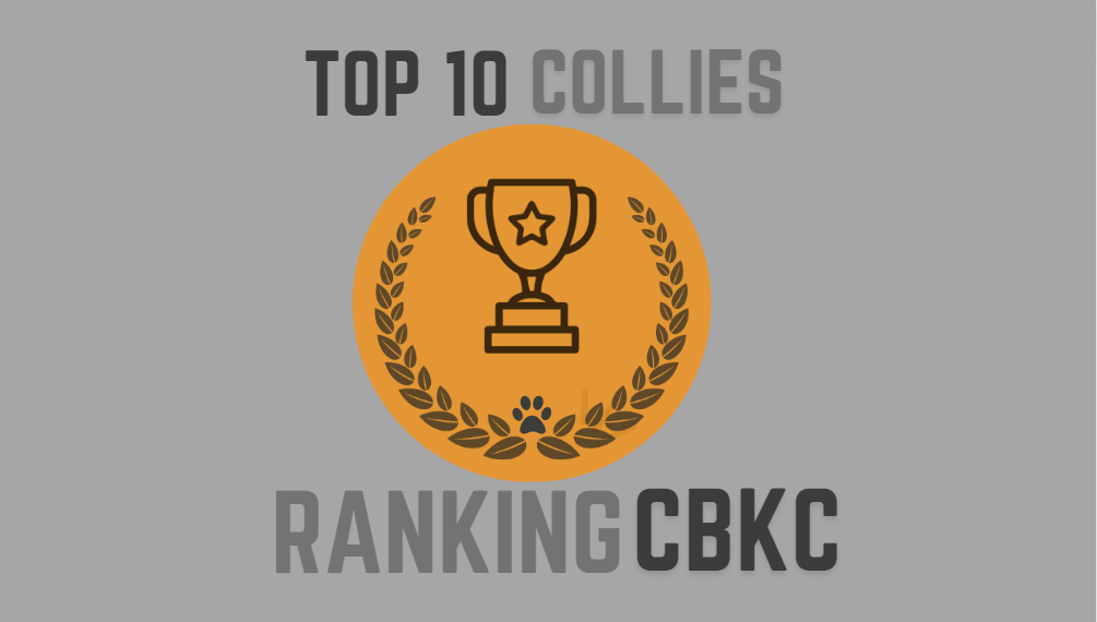 2009 -TOP 10 CBKC – Raça Collie Pelo Longo