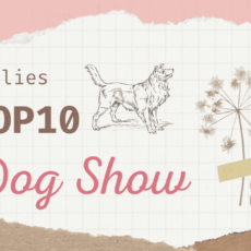 Ranking DogShow – TOP10 Collies 2006