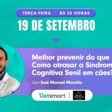 Palestra Online: Como atrasar a Síndrome Cognitiva Senil em cães
