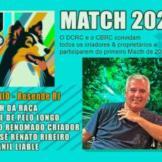 Venha Participar: Do Primeiro Match 2024!