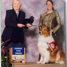 Vencedor ESTRELA BRILHANTE – CCA 2015