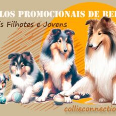 Títulos de Beleza – Iniciais, Filhotes e Jovens