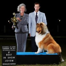 Exposição KCFlu – Araruama – RJ