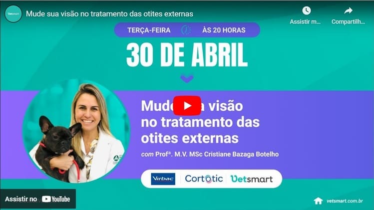 Palestra Online – Tratamento das otites