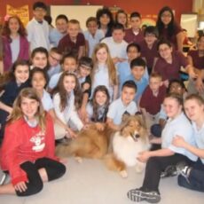 Vencedor ESTRELA BRILHANTE – CCA 2014