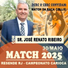 Match de Collies no Campeonato Carioca