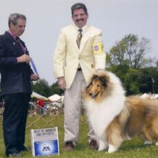 A trajetória de um Grande Campeão