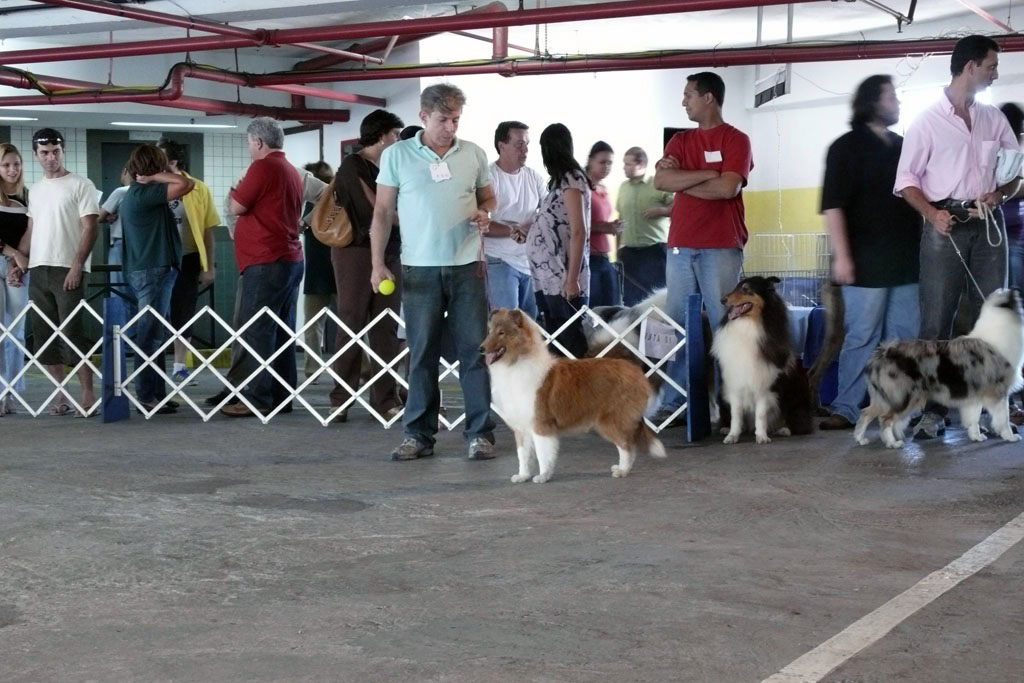 Exposição Canina de Conformação e Beleza - KCFLU 2008