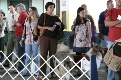 Exposição Canina de Conformação e Beleza - KCFLU 2008