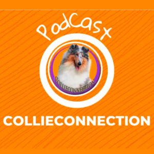 Collies em Apartamento – Entrevista