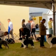 Circuito KCSP – FECIRS 3