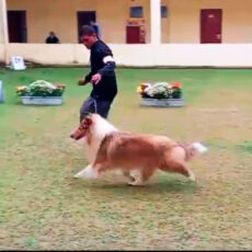 Circuito KCSP – FECIRS 4