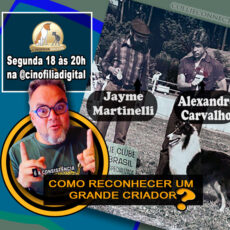 Como Reconhecer ou Ser Um Grande Criador?