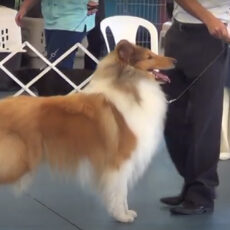 Retrospectiva: BKC – Setembro 2013