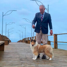 Collie em Tramandaí GKC & KCCS