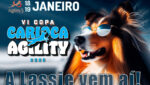 Venha Torcer na VI Copa Carioca de Agility!