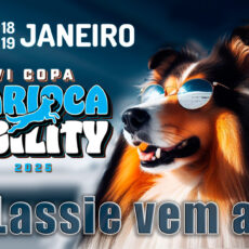 Venha Torcer na VI Copa Carioca de Agility!