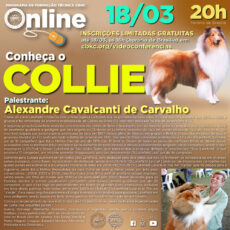 Palestra CBKC: Conheça o Collie!