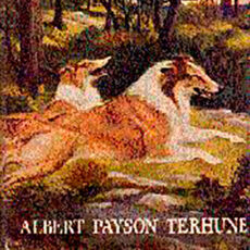 “The Critter” 100 anos