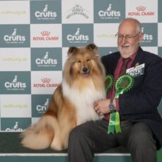 Os Collies em Crufts 2025