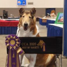CCA National 2025 – CATALOG