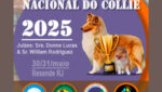 Nacional do Collie 2025