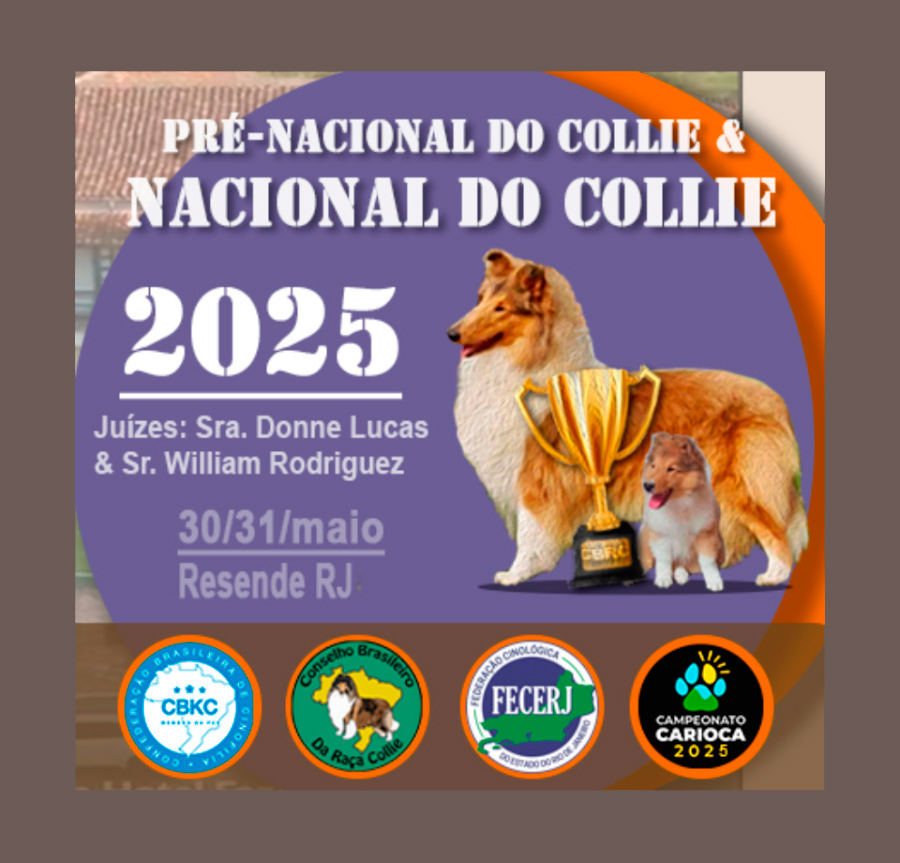 Nacional do Collie 2025