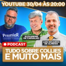 Tudo Sobre Collie e Muito Mais