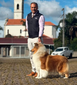 Collie no DogShow de Outono Paraná
