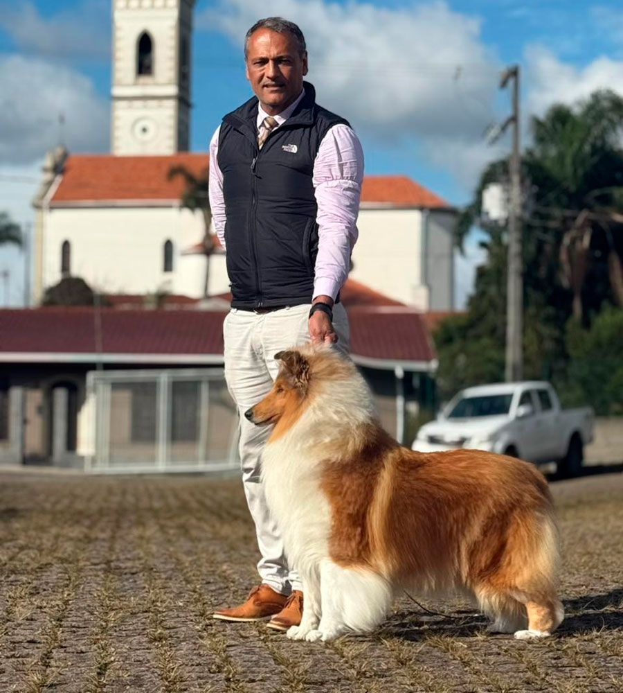 Collie no DogShow de Outono Paraná