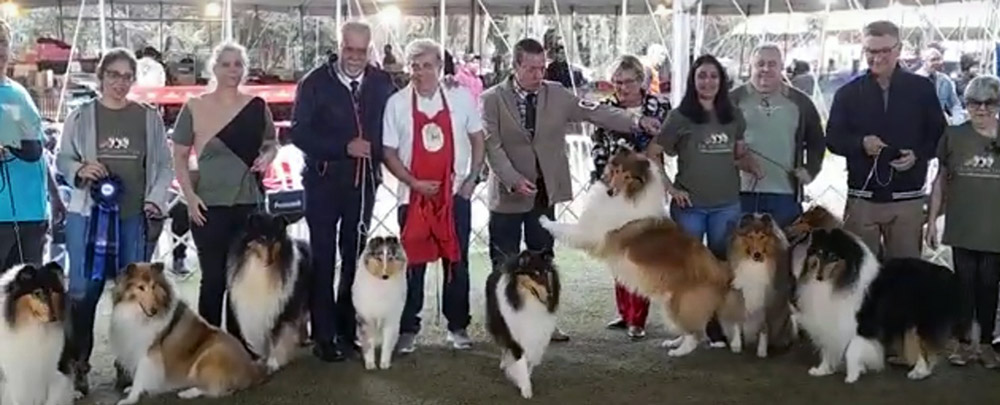 Pré-Nacional do Collie 2025