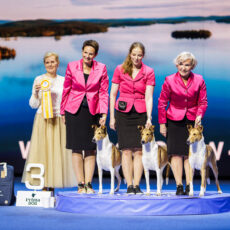 World Dog Show 2025 – Helsinque