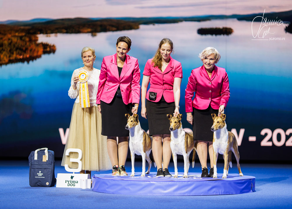World Dog Show 2025 – Helsinque